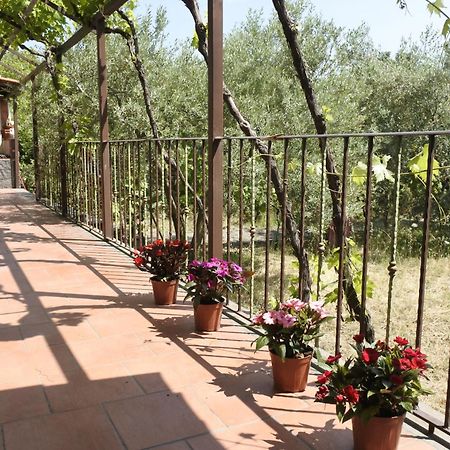 Вилла Casa Vacanza Etna Evergreen Пьедимонте-Этнео Экстерьер фото