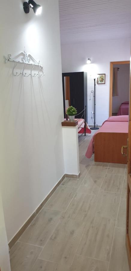 Вилла Casa Vacanza Etna Evergreen Пьедимонте-Этнео Экстерьер фото