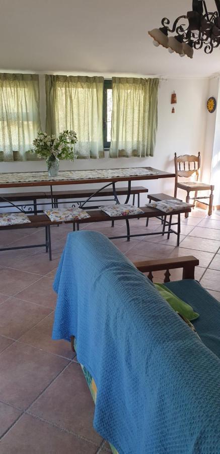 Вилла Casa Vacanza Etna Evergreen Пьедимонте-Этнео Экстерьер фото