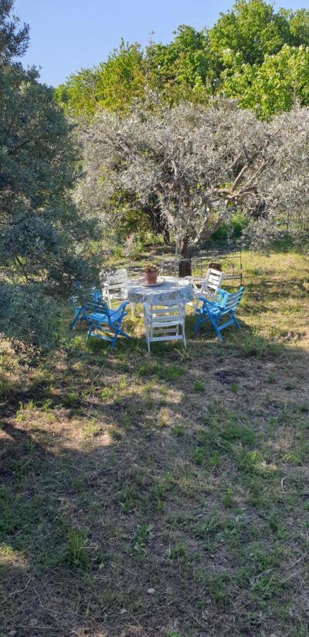 Вилла Casa Vacanza Etna Evergreen Пьедимонте-Этнео Экстерьер фото
