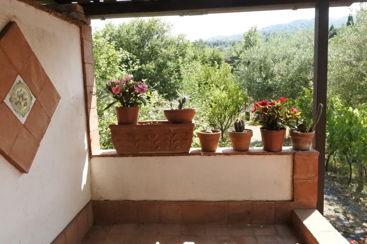 Вилла Casa Vacanza Etna Evergreen Пьедимонте-Этнео Экстерьер фото