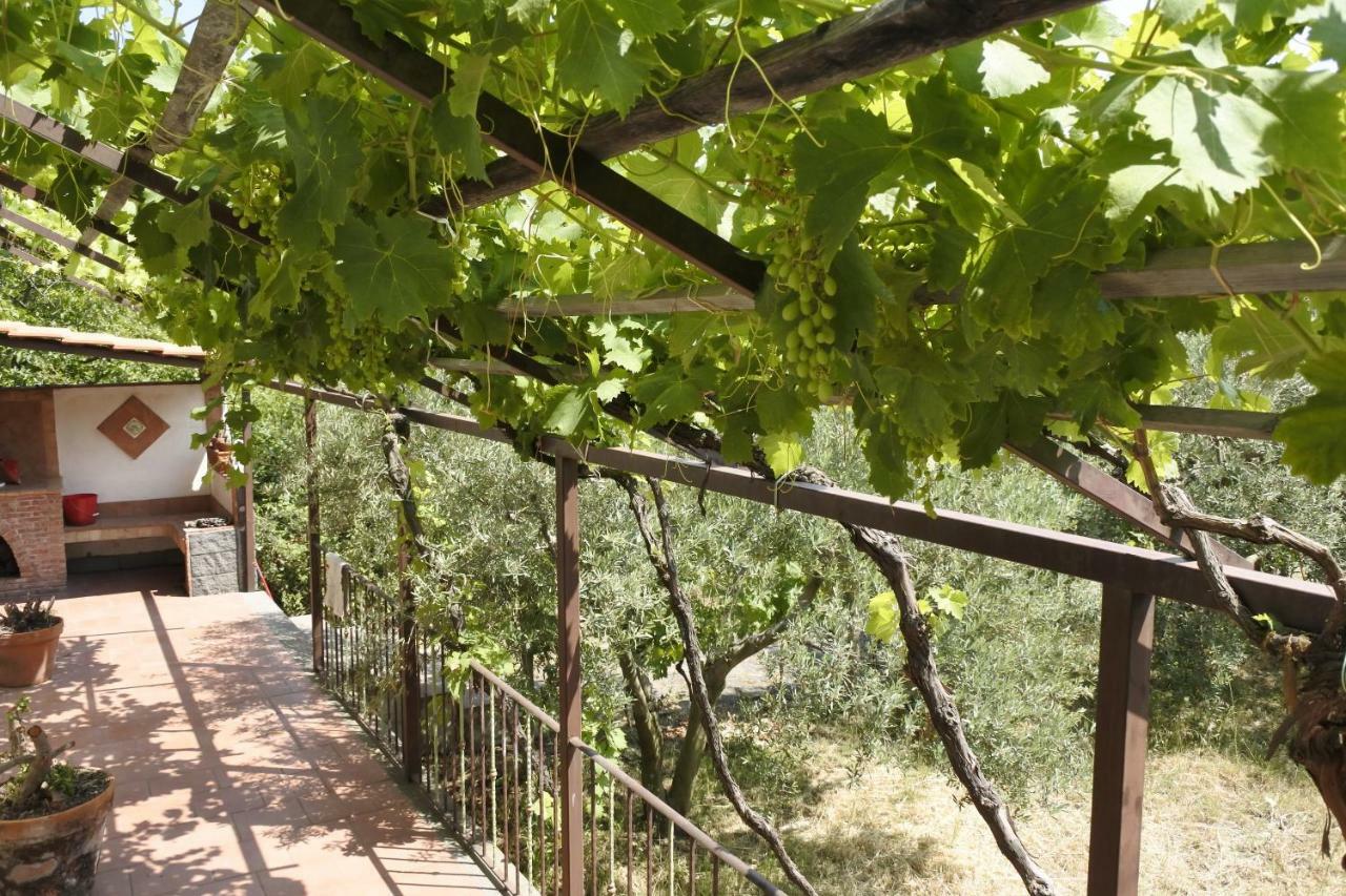 Вилла Casa Vacanza Etna Evergreen Пьедимонте-Этнео Экстерьер фото