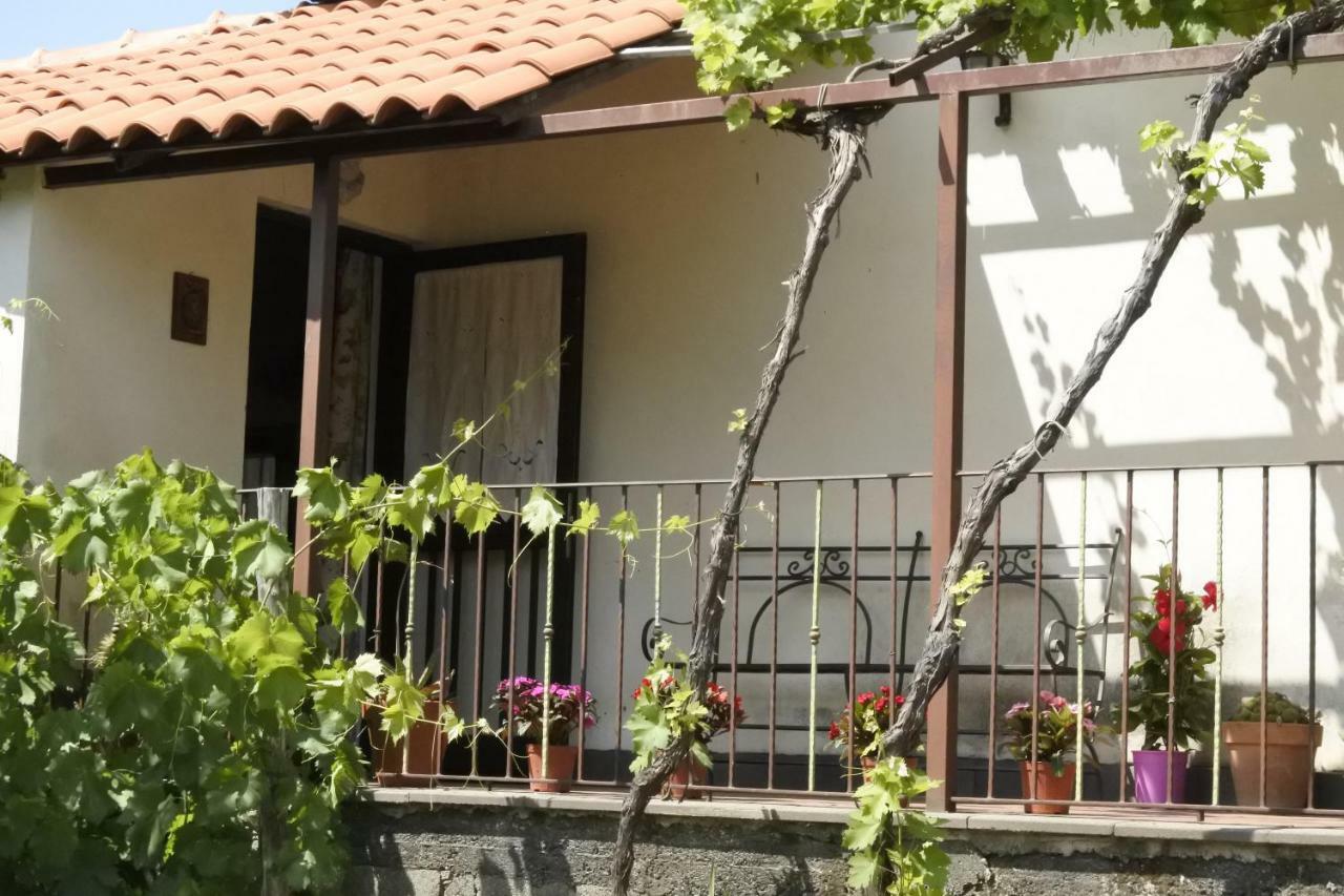 Вилла Casa Vacanza Etna Evergreen Пьедимонте-Этнео Экстерьер фото